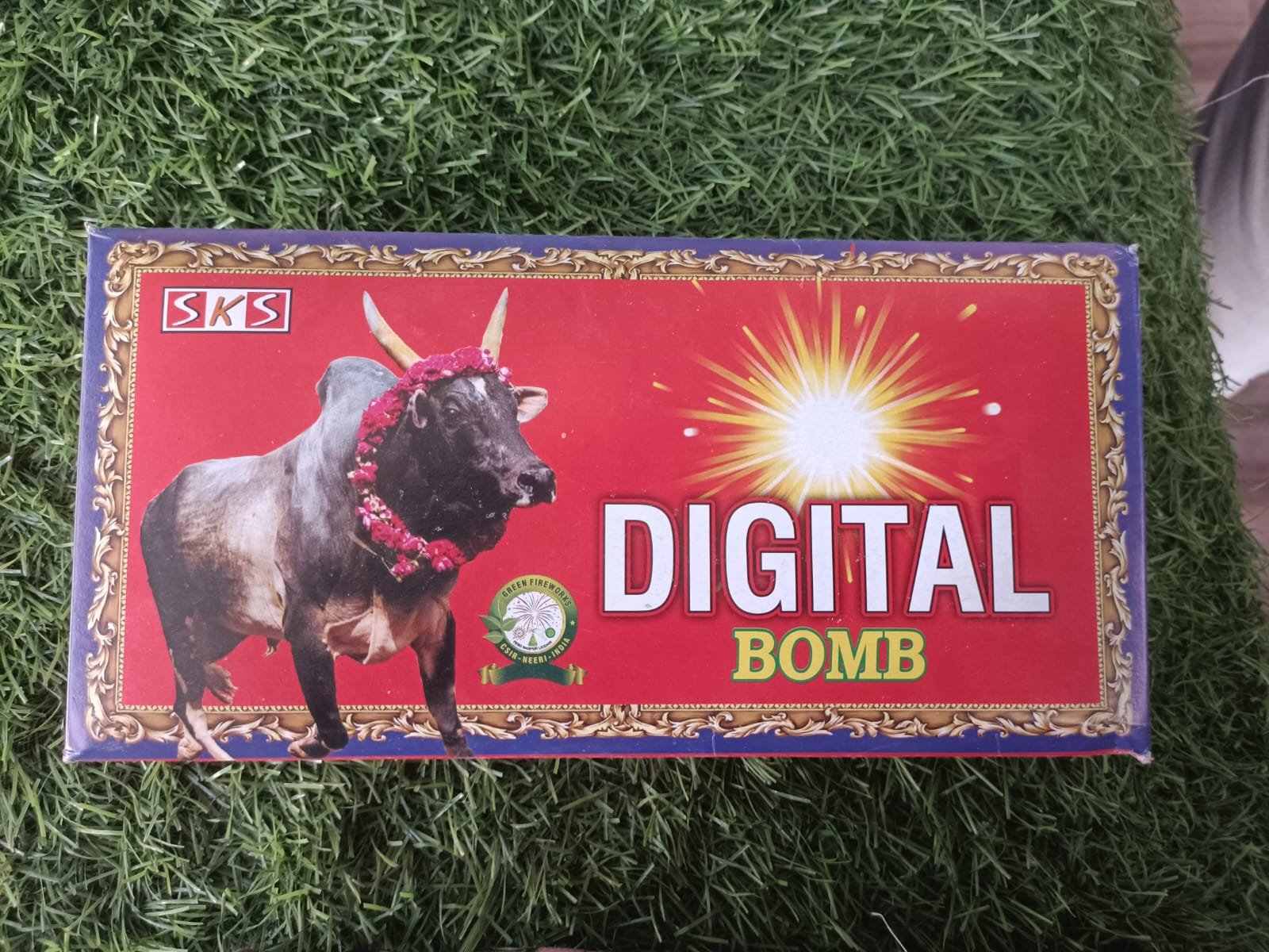 DIGITAL BOMB